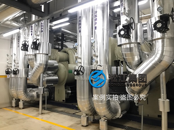 TRANE特靈冷水機(jī)組橡膠接頭現(xiàn)場(chǎng)